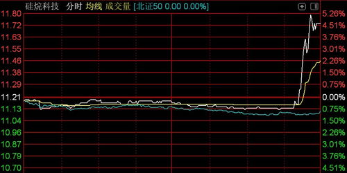 北交所震蕩調(diào)整 逾百股下挫，技術(shù)開發(fā)板塊承壓——以n鴻智超14%領(lǐng)跌為例